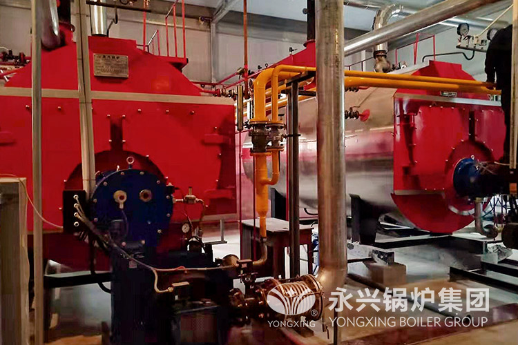 oil and gas fired boiler