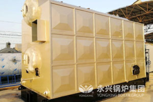 biomass thermal oil heater