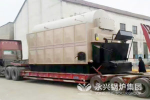 biomass steam boiler 6 tons